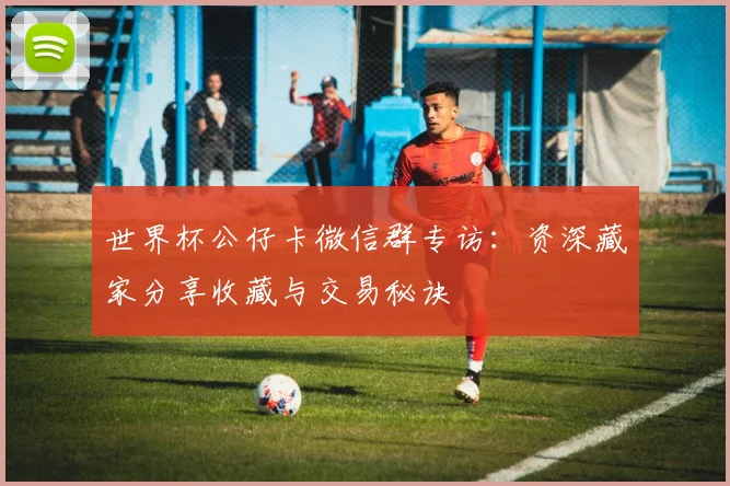 世界杯公仔卡微信群专访:资深藏家分享收藏与交易秘诀