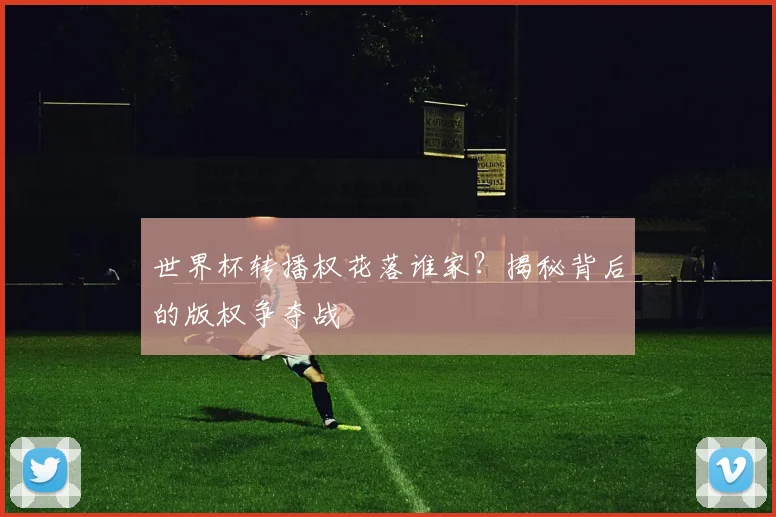 世界杯转播权花落谁家?揭秘背后的版权争夺战
