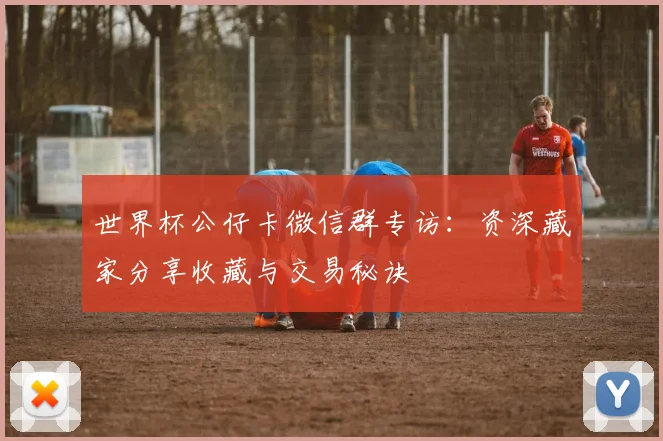世界杯公仔卡微信群专访:资深藏家分享收藏与交易秘诀