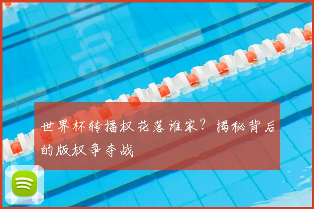 世界杯转播权花落谁家?揭秘背后的版权争夺战