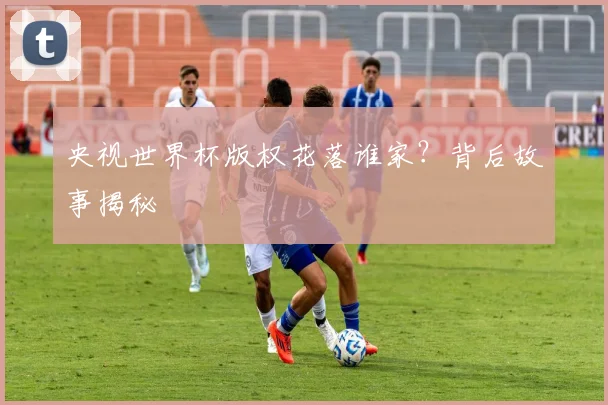 央视世界杯版权花落谁家?背后故事揭秘