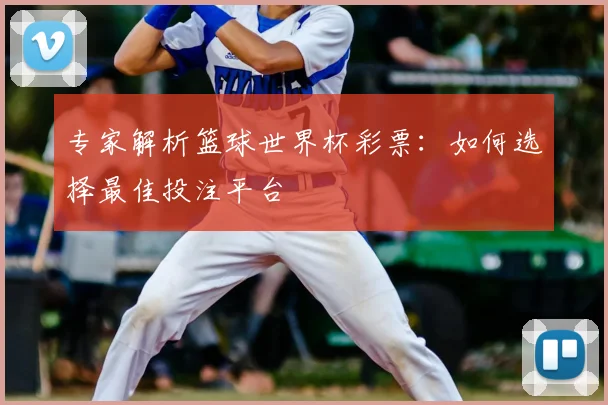 专家解析篮球世界杯彩票：如何选择最佳投注平台