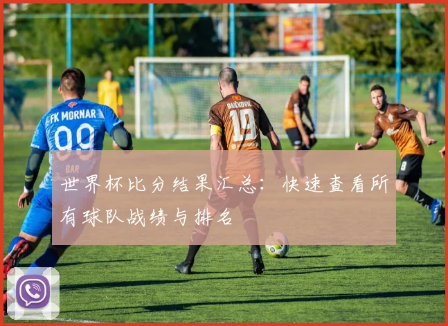 世界杯比分结果汇总:快速查看所有球队战绩与排名