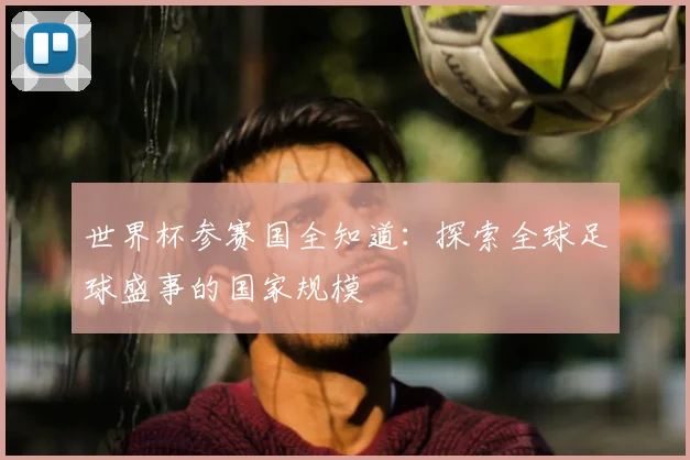 世界杯参赛国全知道:探索全球足球盛事的国家规模