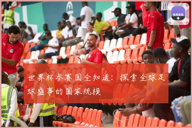 世界杯参赛国全知道:探索全球足球盛事的国家规模